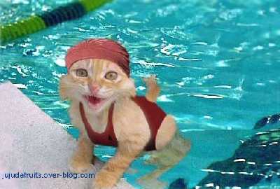 La piscine ...